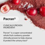 AZO Cranberry Supplement, Made with Concentrated Whole Fruit Cranberry Powder to Help Cleanse and Protect the Urinary Tract*, Sugar Free Cranberry Pills, Non-GMO, 100 Softgels - Image 4