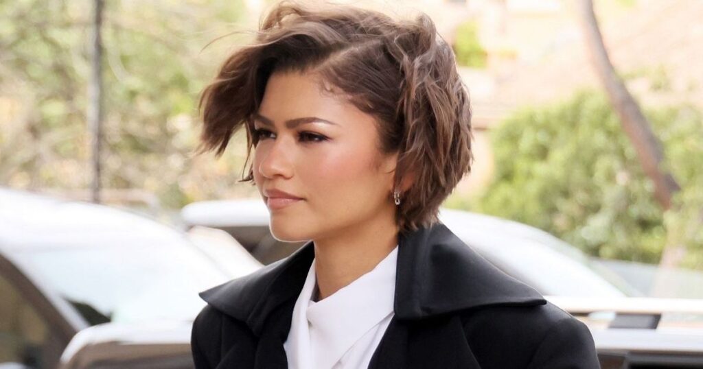 Zendaya's Mob Wife-Coded Fully Sheer Dress Is a Harris Reed for Nina Ricci